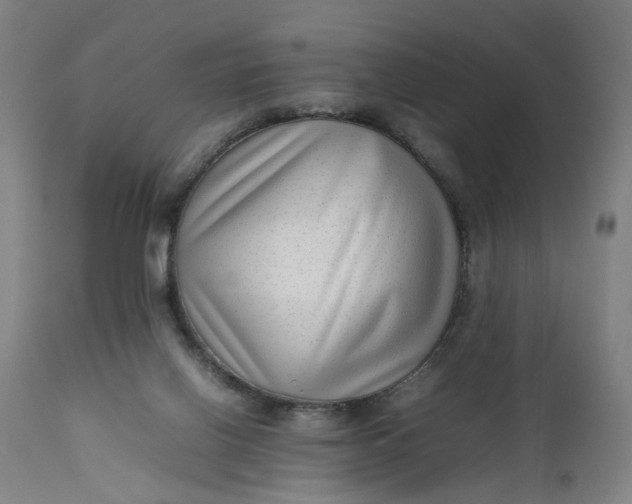 X0000111190070200907151359