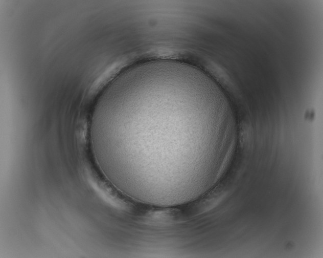 X0000111190072200907151359