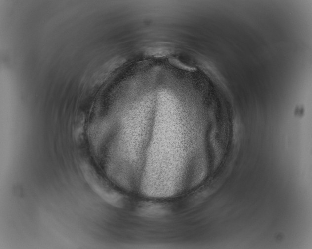 X0000111190073200907151359