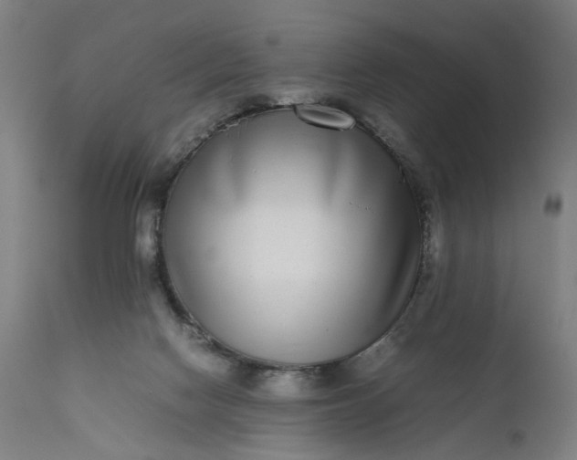 X0000111190074200907151359