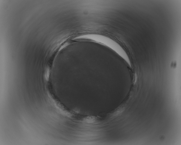 X0000111190076200907151359