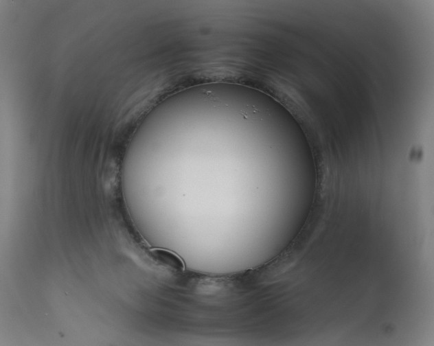 X0000111190077200907151359