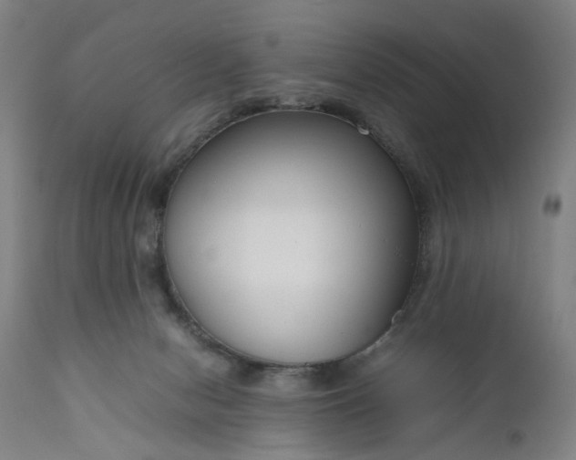 X0000111190078200907151359