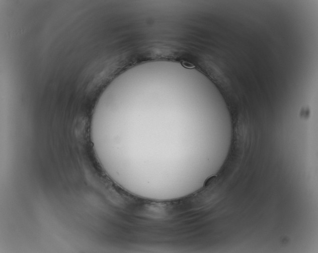 X0000111190079200907151359