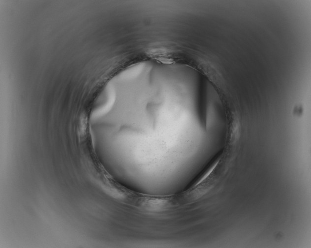 X0000111190081200907151359