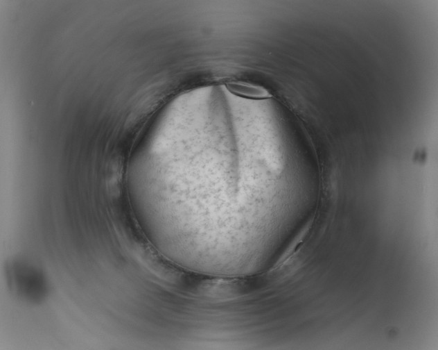 X0000111190082200907151359