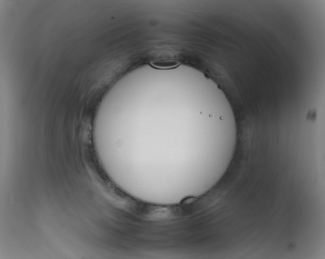 X0000111190083200907151359