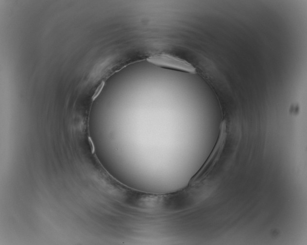 X0000111190084200907151359