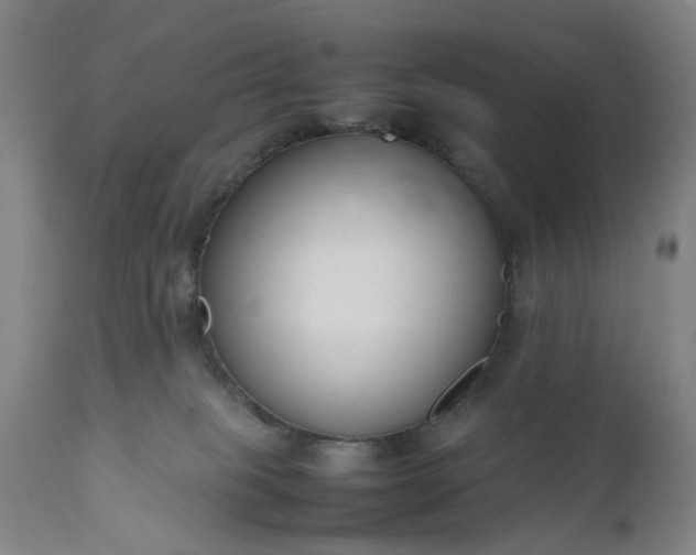 X0000111190085200907151359