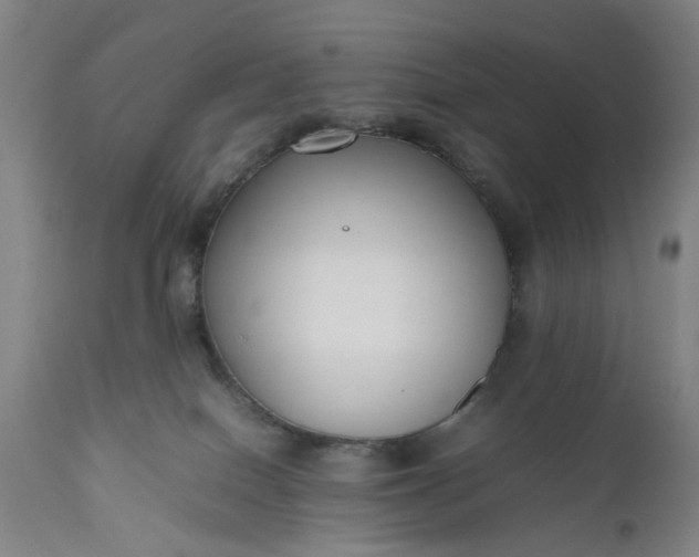 X0000111190086200907151359