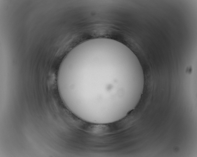 X0000111190087200907151359