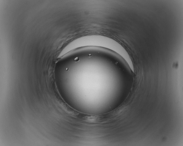 X0000111190088200907151359