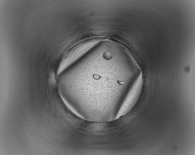 X0000111190089200907151359