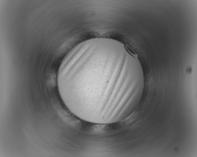 X0000111190090200907151359