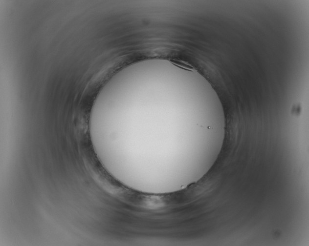 X0000111190091200907151359