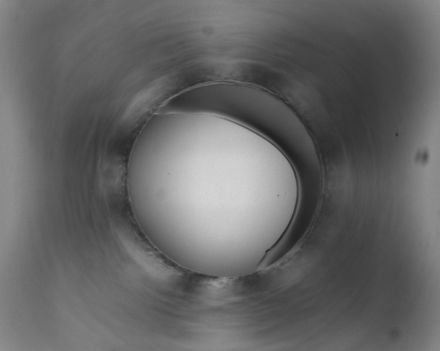 X0000111190092200907151359