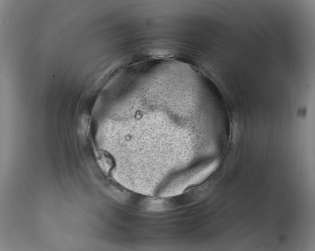 X0000111190093200907151359