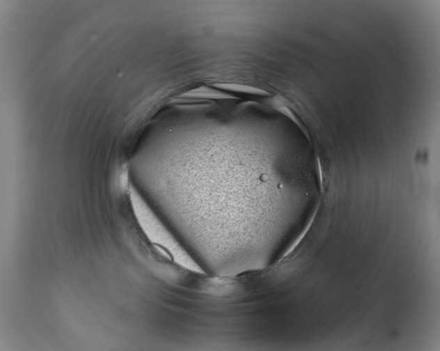 X0000111190095200907151359