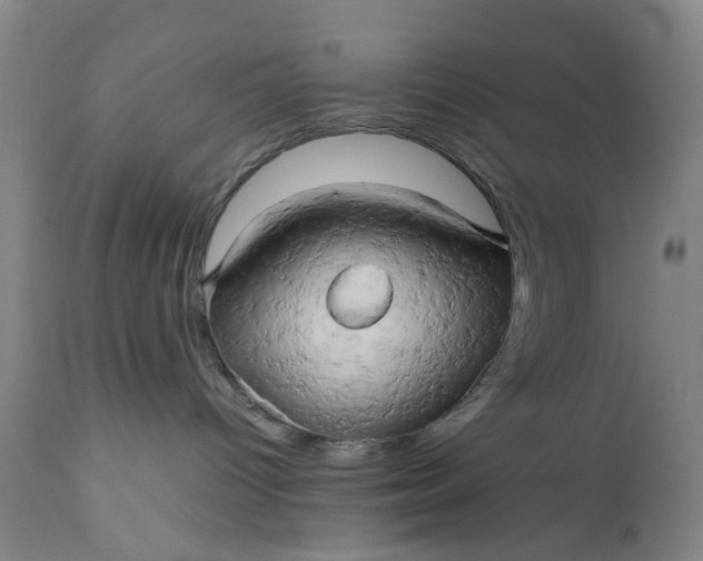 X0000111190096200907151359