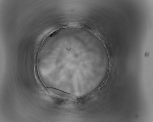 X0000111190097200907151359