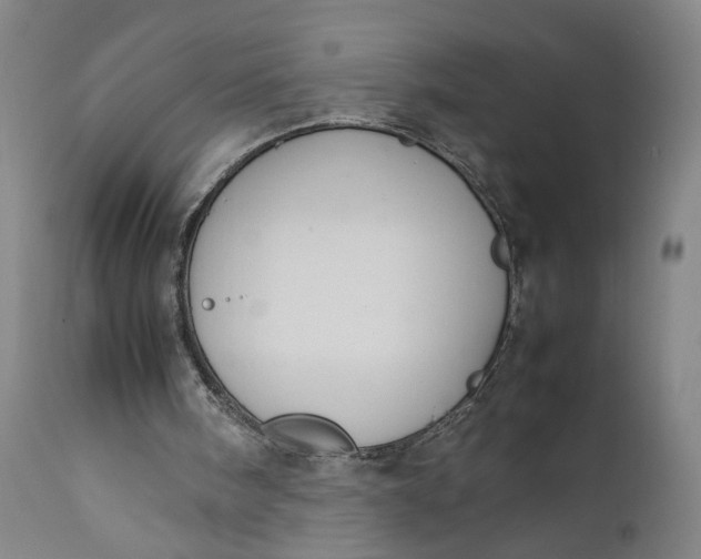 X0000111190098200907151359