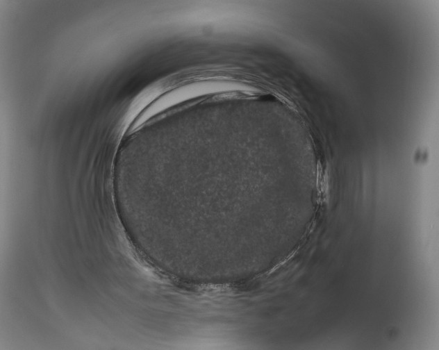 X0000111190099200907151359