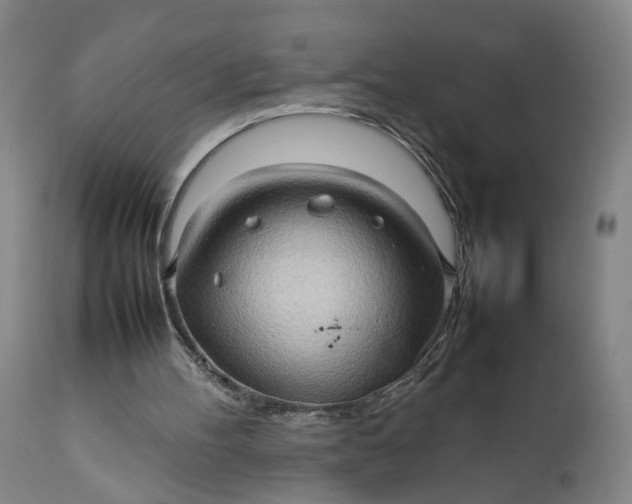 X0000111190100200907151359