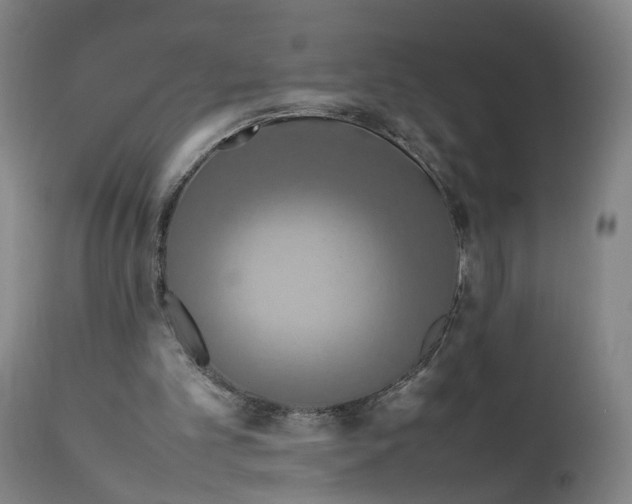 X0000111190101200907151359