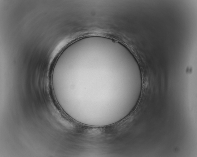 X0000111190102200907151359