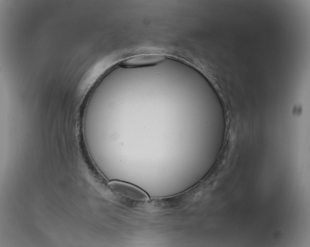 X0000111190103200907151359