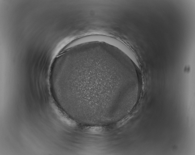 X0000111190104200907151359