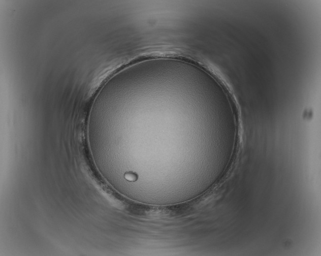 X0000111190105200907151359