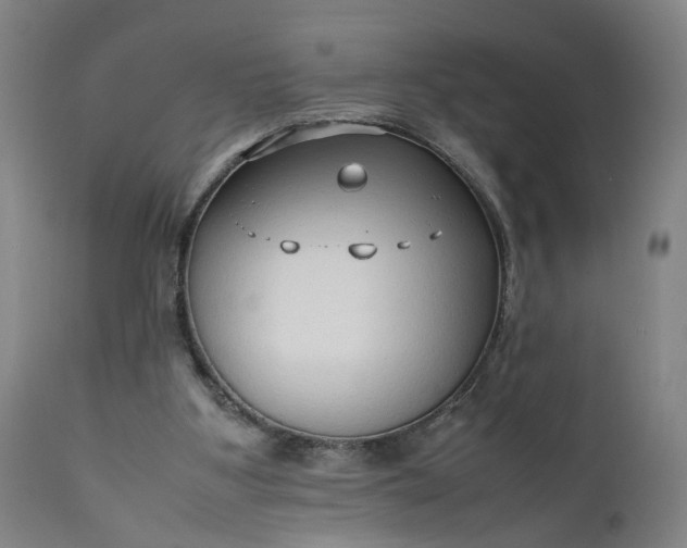 X0000111190107200907151359