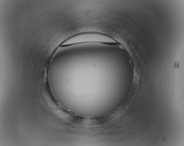 X0000111190109200907151359