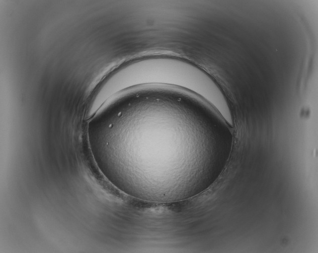 X0000111190112200907151358