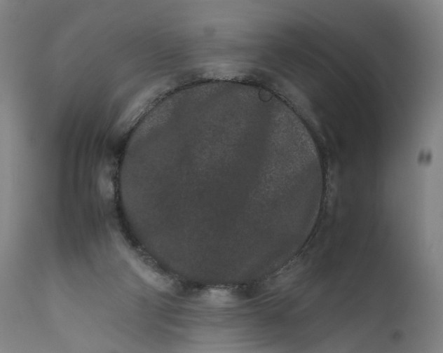 X0000111190114200907151358