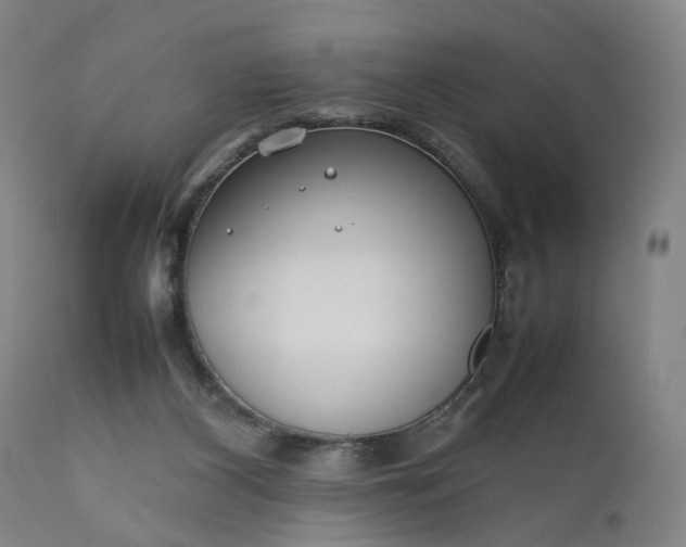 X0000111190116200907151358