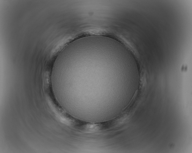 X0000111190117200907151358