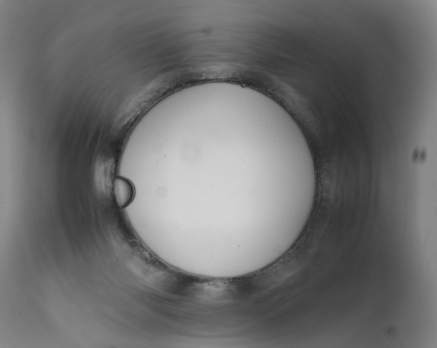 X0000111190118200907151358