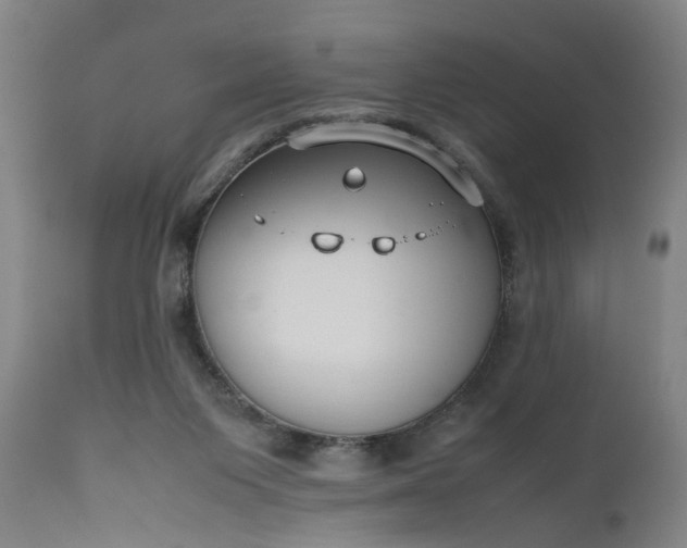 X0000111190119200907151358