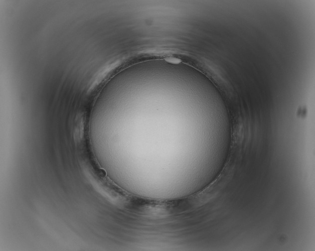 X0000111190120200907151358