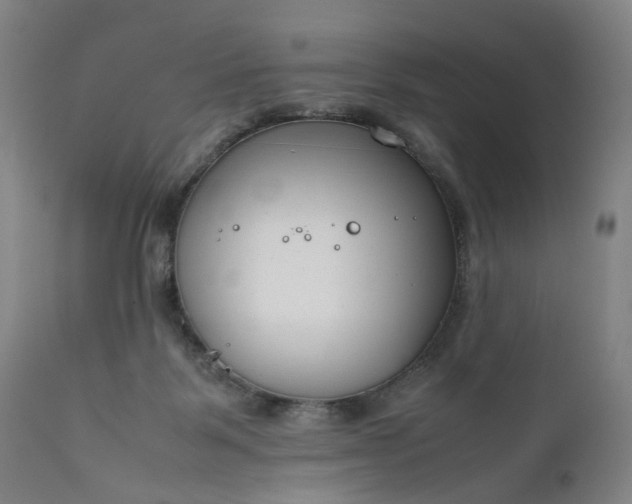 X0000111190123200907151358