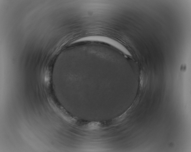 X0000111190124200907151358