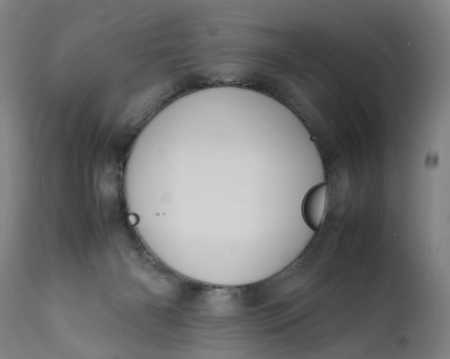 X0000111190126200907151358