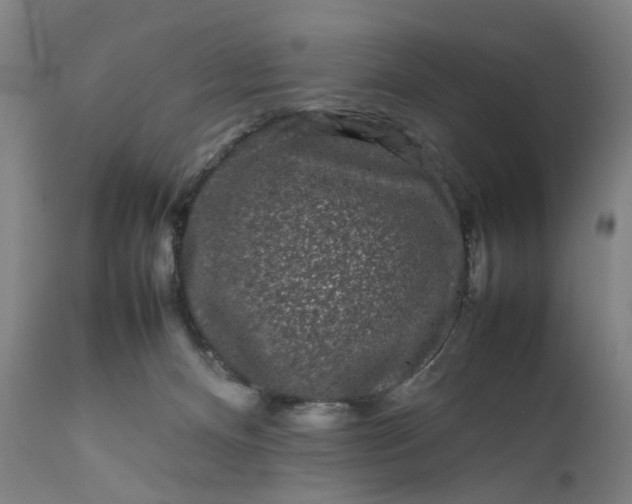 X0000111190128200907151358