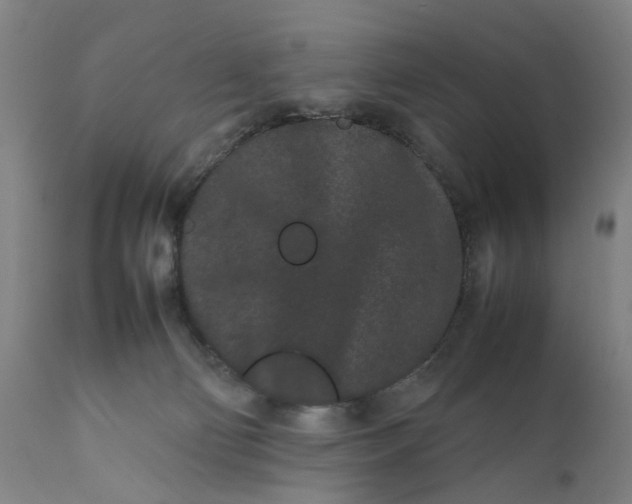 X0000111190130200907151358