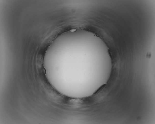 X0000111190133200907151358