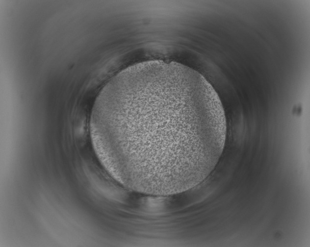 X0000111190134200907151358