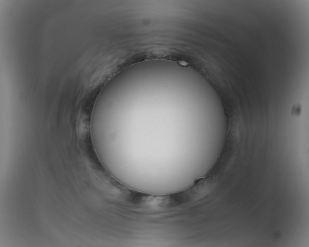 X0000111190135200907151358