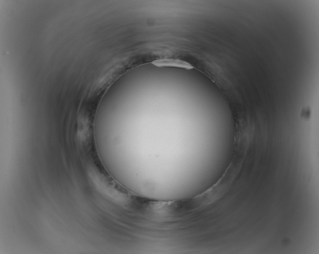 X0000111190136200907151358